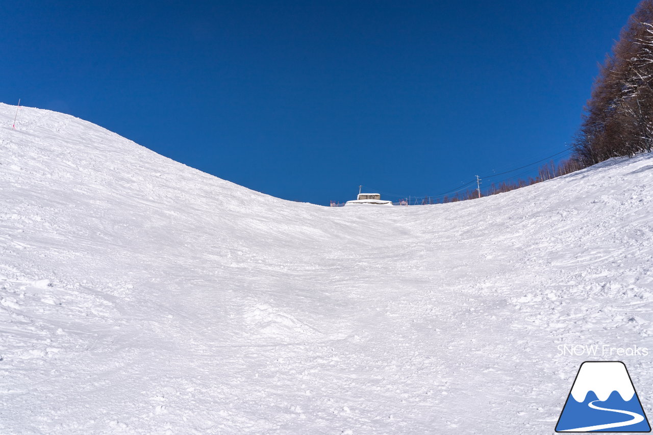 札幌藻岩山スキー場｜本日、雲一つ無い快晴！札幌藻岩山の全10コースの滑走にチャレンジ(^^)/